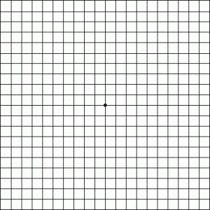 amsler-grid